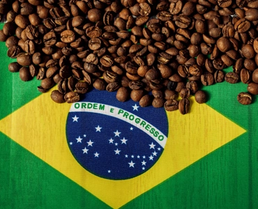 Smooth and chocolatey brazilian coffees